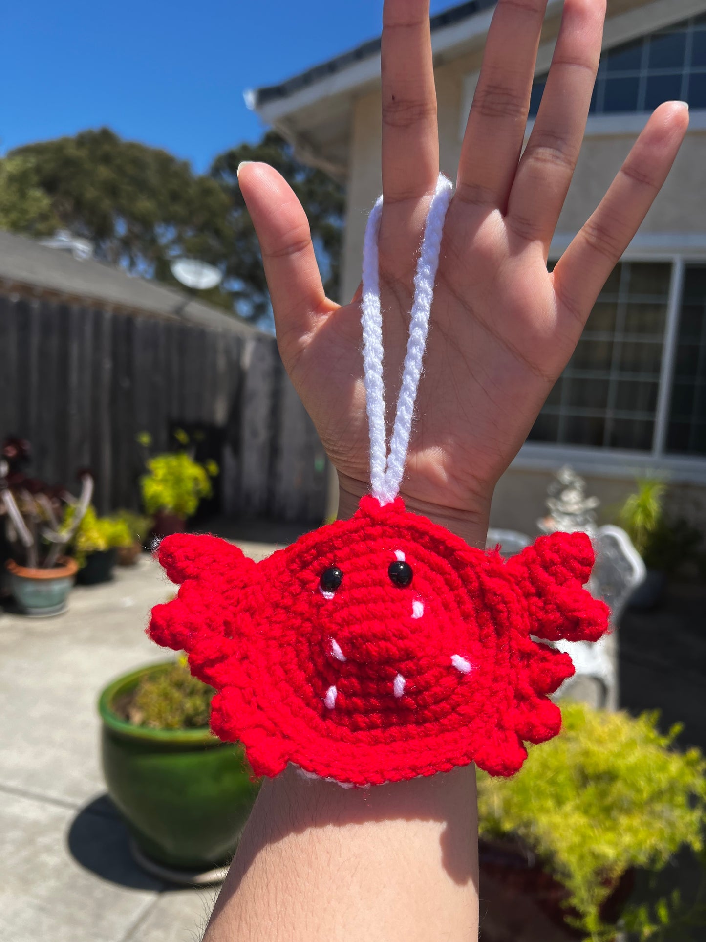 Crochet Pouch